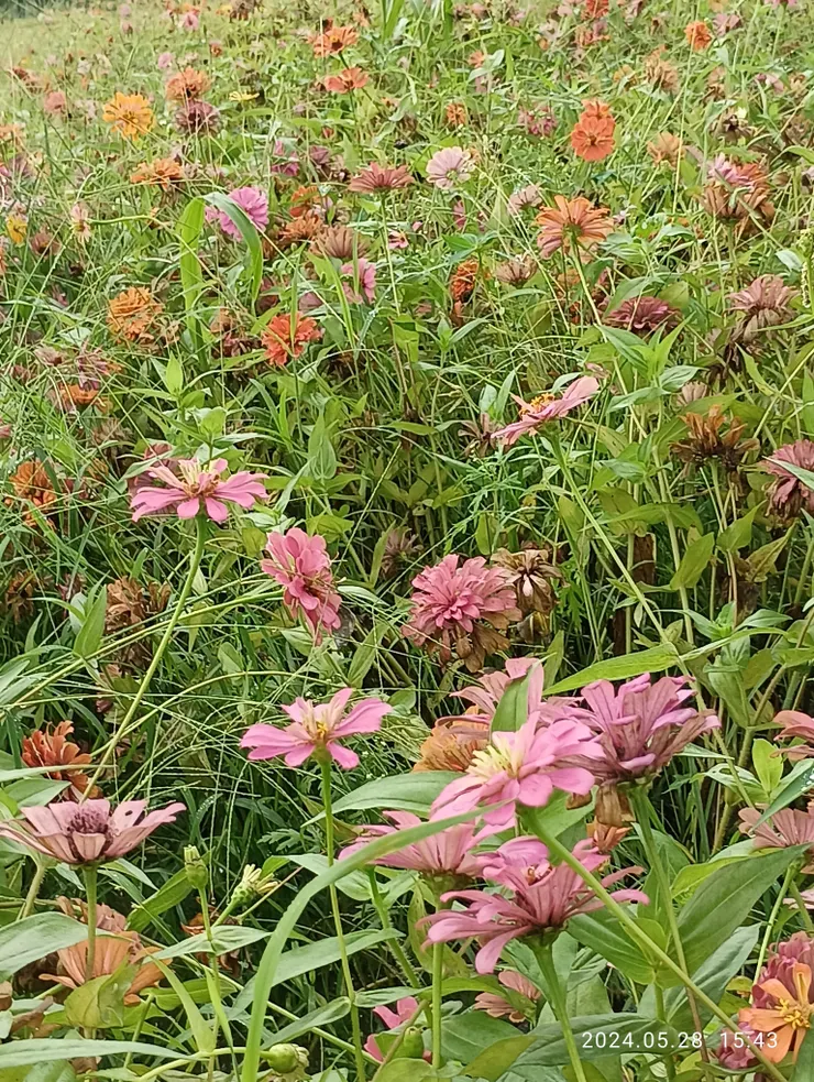 一路花哭涕零涔，自拍攝