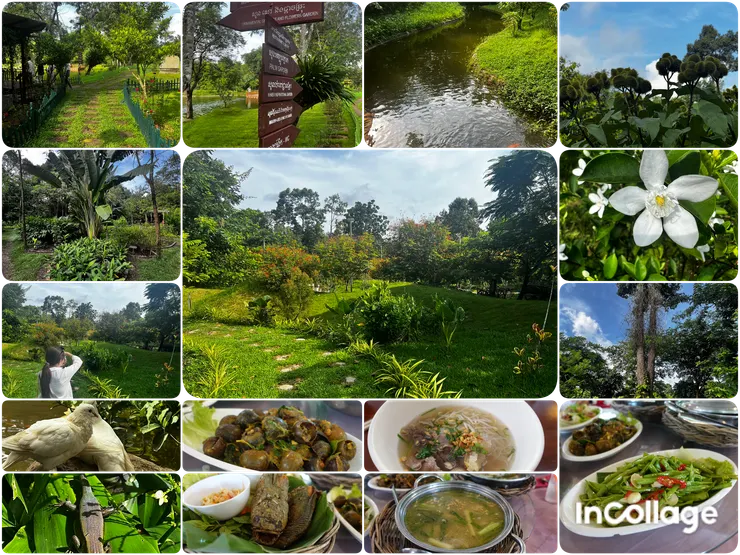 Angkor Botanica Garden與柬式午餐