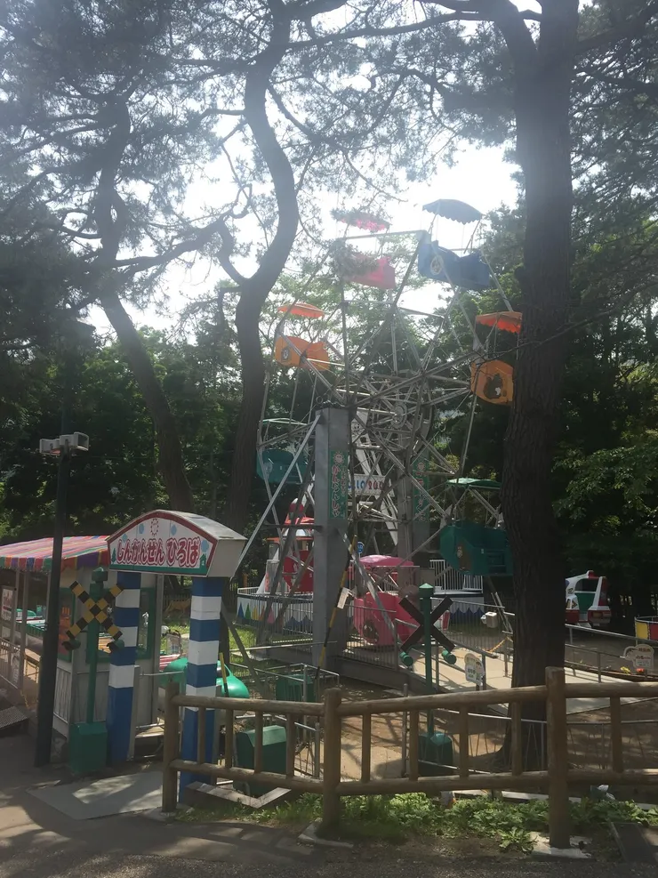 很有味道的摩天輪