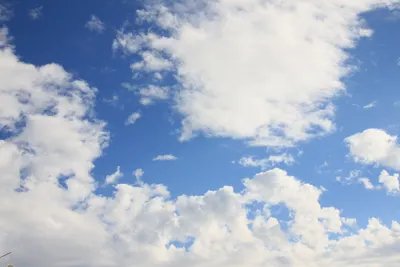 一般勞動者的瑣碎故事