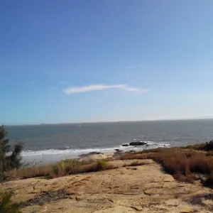 無能的家裡蹲勇者的沙龍