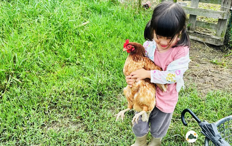 與自然心的互動