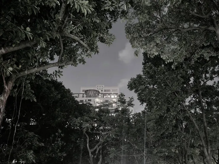 DAY 5 再高一點 多好