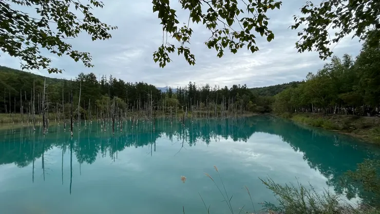 白金青池的顏色，在其他地方很難看到一樣的。