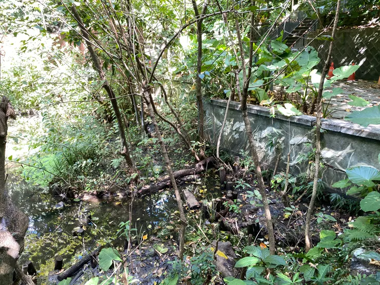 踏進入棧道之後，往回看，會發現一面石雕短牆，疑似古墓