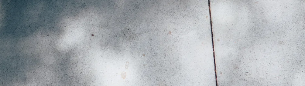 六叔觀察站的沙龍