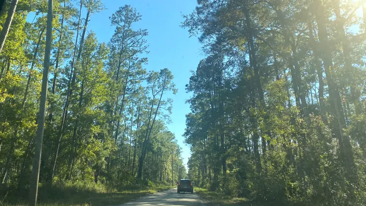 前往St.Marks的路上,天氣非常的好