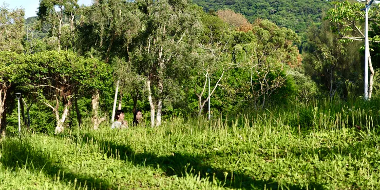 音樂家王榆鈞專訪。／攝影：拍照小沈