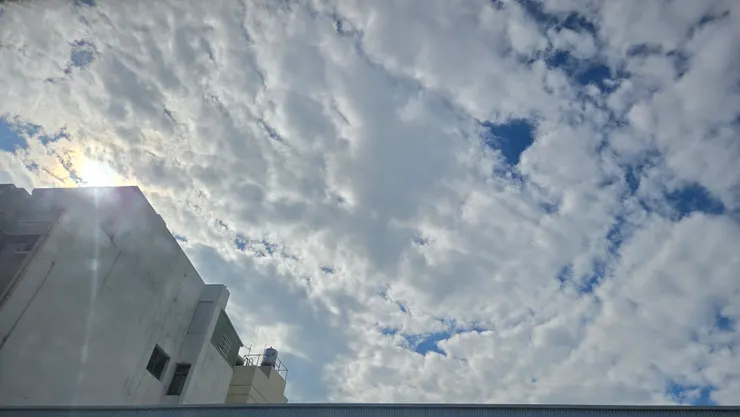 要把台南的陽光捉上高鐵帶回台北!!!