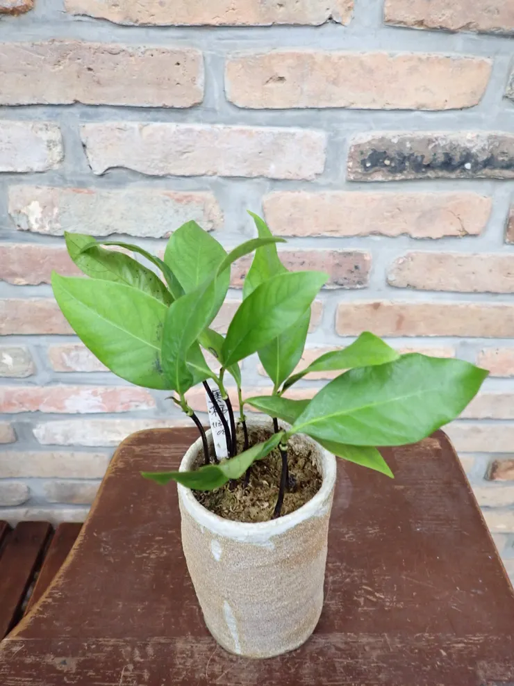 淡水社大114.12.16