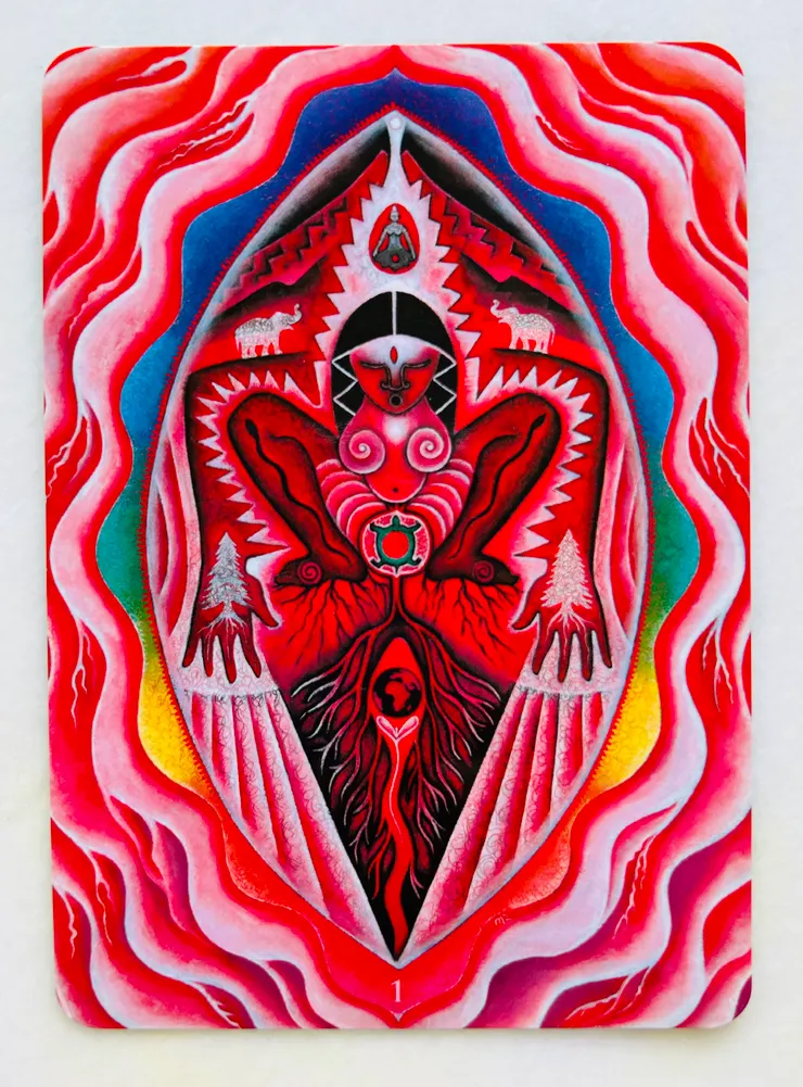 圖：海底輪 / 根輪