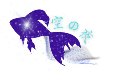 皎黠蝮的沙龍-空の夜