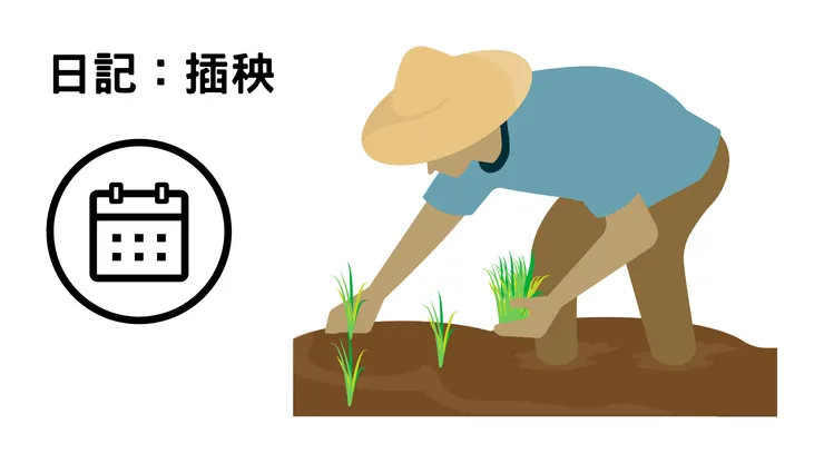 日記：插秧