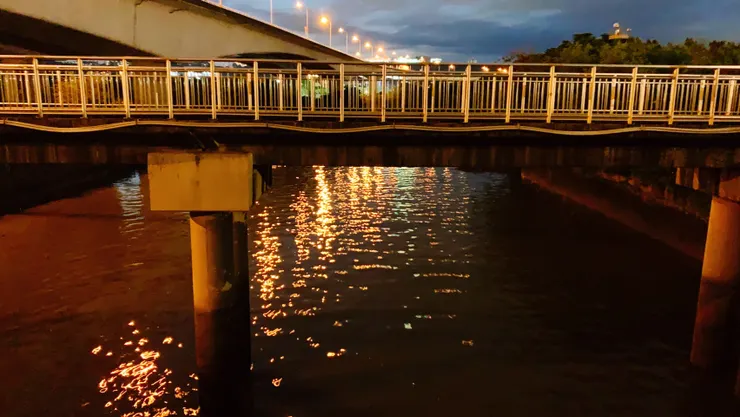 水裡藏了個印象派畫家1