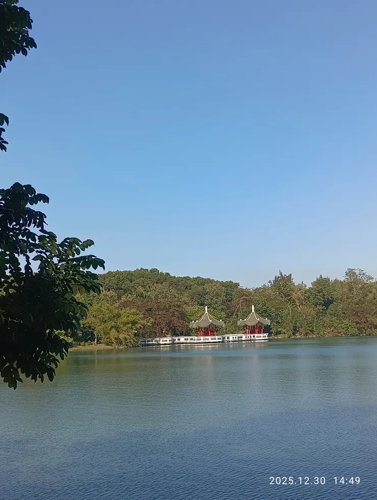 藍湖縠漾亭雙蓮（亭名：雙蓮）