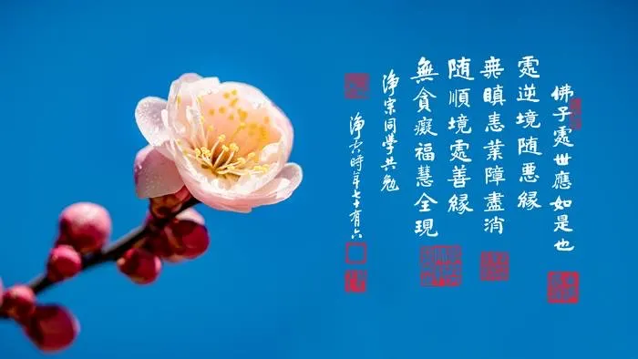 佛號梵唄: 一向專念 阿彌陀佛 求生淨土