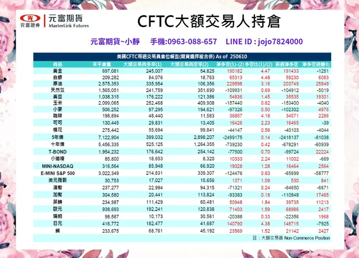 cftc大額交易人持倉