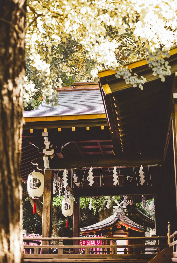 Photo by Charles Postiaux on Unsplash