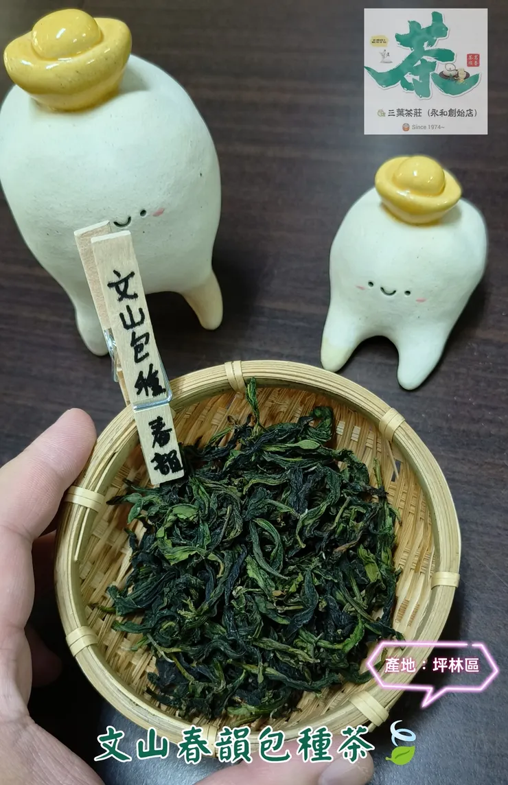 26式 文山春韻包種茶🍃