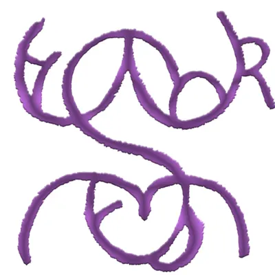 藝術與靈性的跨文化筆記