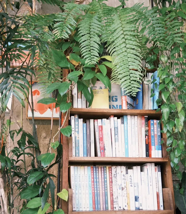 店內位置精緻,有許多植物與旅行書籍擺設