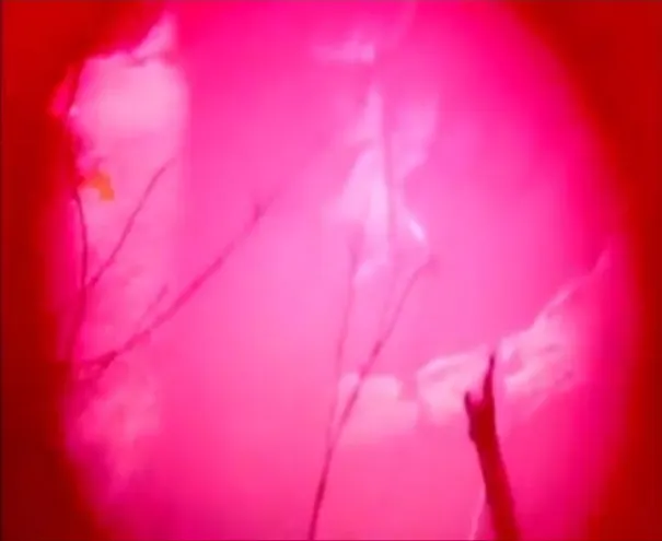 39.《狗·星·人》（Dog Star Man，1965）🇺🇸 dir. Stan Brakhage