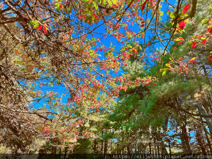 【帝王之山4天3夜】南湖大山之勝光山/多加屯前鋒/客滿的雲稜