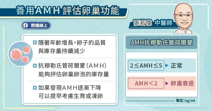 善用AMH評估卵巢功能