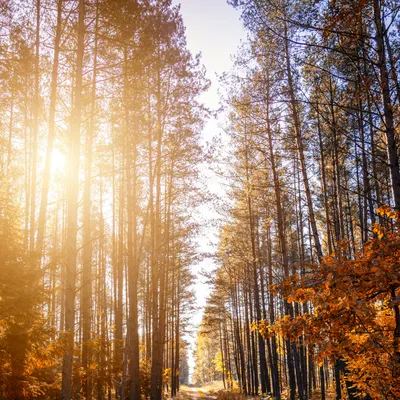 森語的情緒觀測站｜以旁觀者視角書寫生活與人心