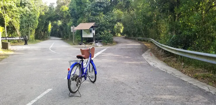 右邊有紅樹林，左邊是單車及行人路