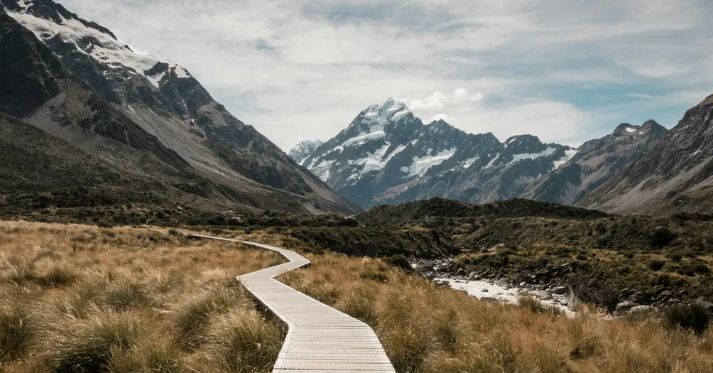 賽門的世界：財務與成長的旅程