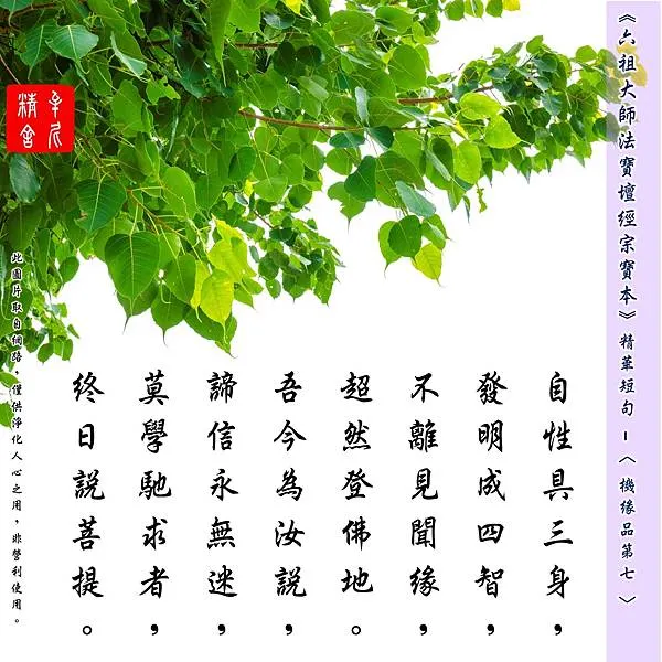 關關難過，關關過(二)