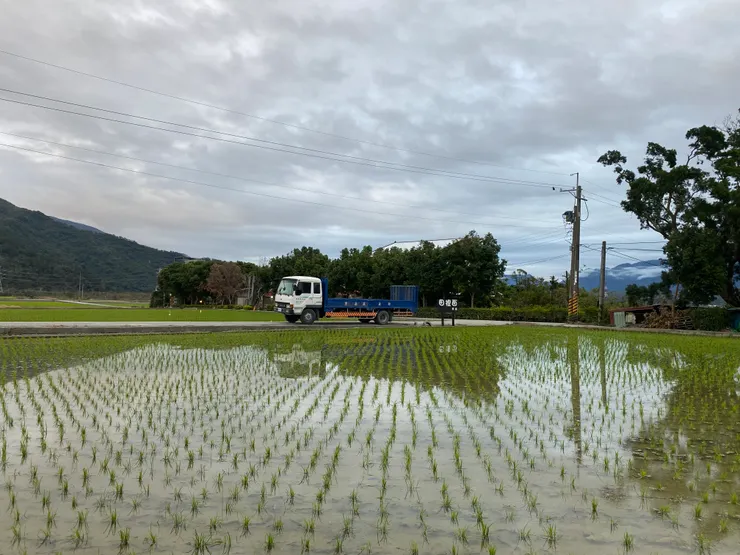 回到池上，走回家