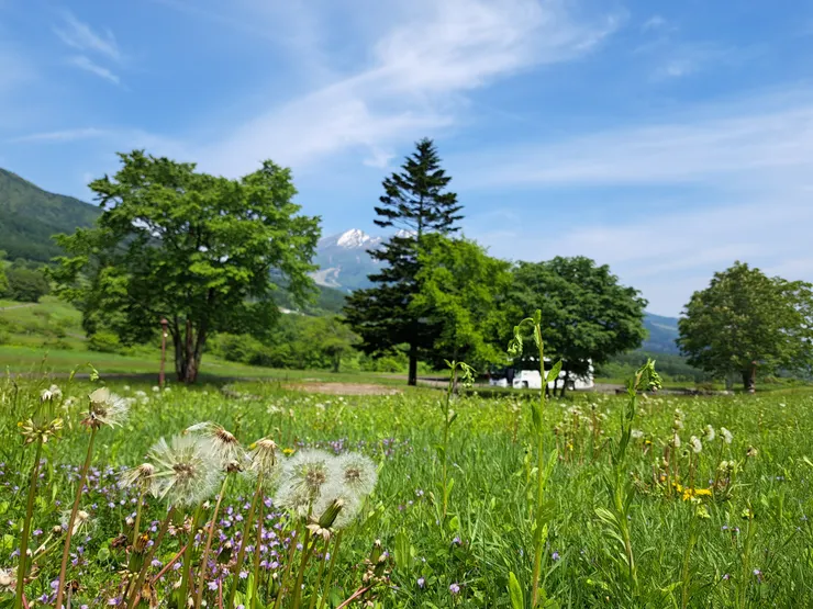 尋找森林中的各種顏色/攝影:NANA濕婦