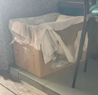 貓咪表示：雖然破爛，但有點溫暖