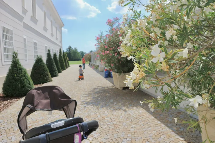 連走道都這麼美