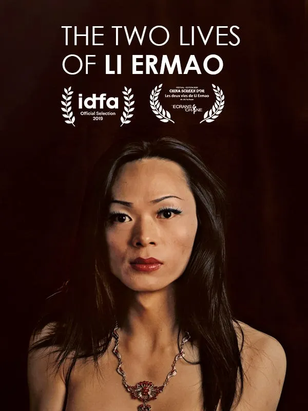 《李二毛的雙重人生》詳細記錄了鏡頭下的主角，李二毛，她17年的生活故事，展示了李二毛作為一位跨性別者所經歷的困難與掙扎。來源：電影海報。