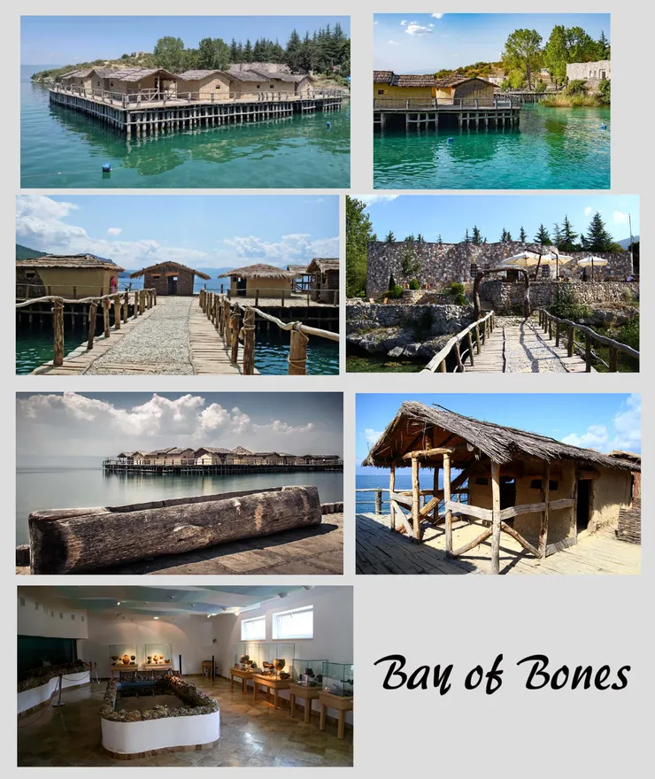 這幾張近照取自網路分享。