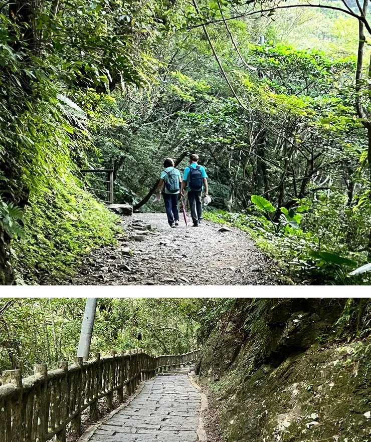林蔭遮蔽、空氣清涼，長輩與孩子都能自在散步。