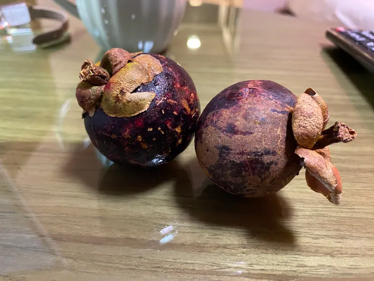 在泰國怎麼可以放過任意吃山竹和紅毛丹的機會呢?