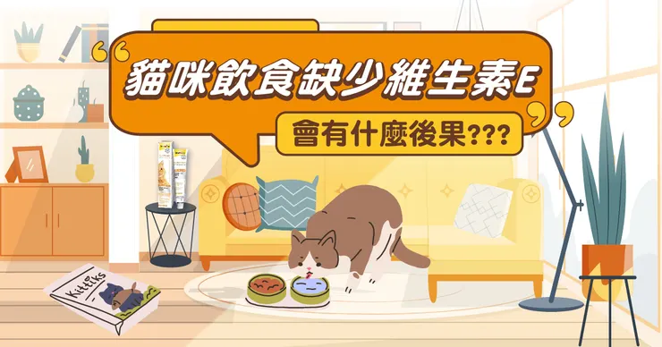 貓咪缺乏維生素E會有甚麼後果