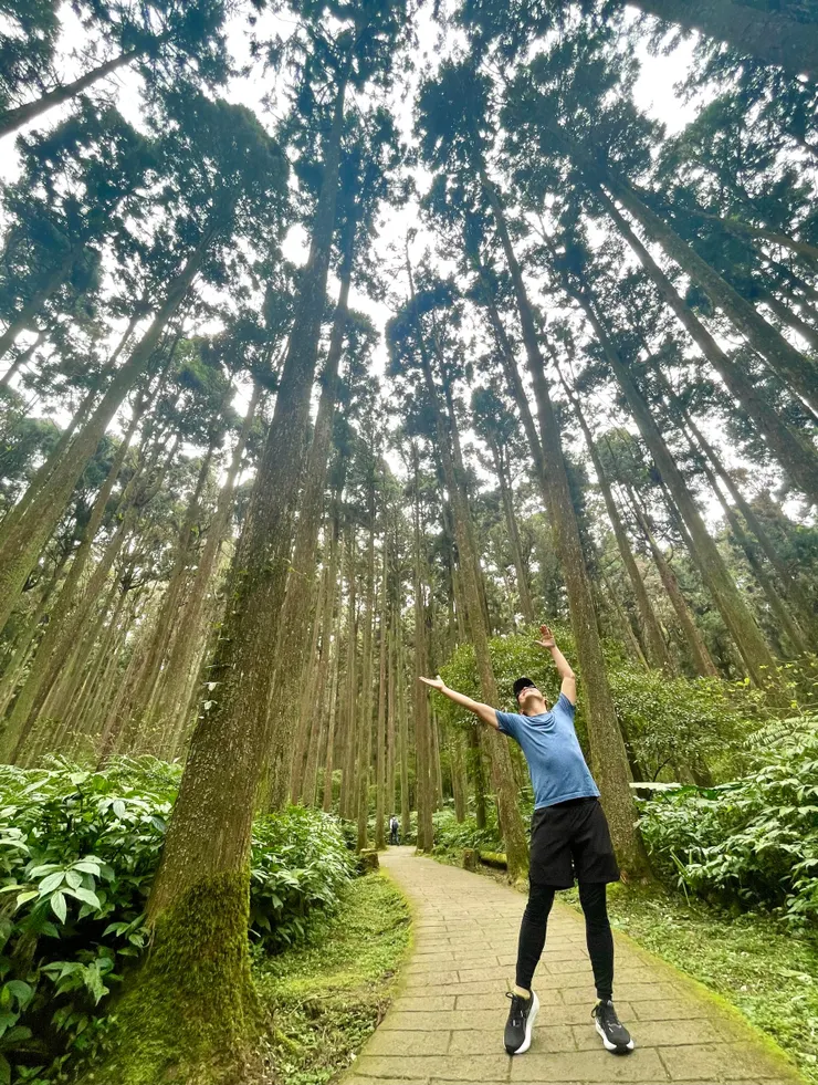 楊錦聰的山徑行路有野花、蝴蝶、蟲、鳥與大樹,從來不曾寂寞。