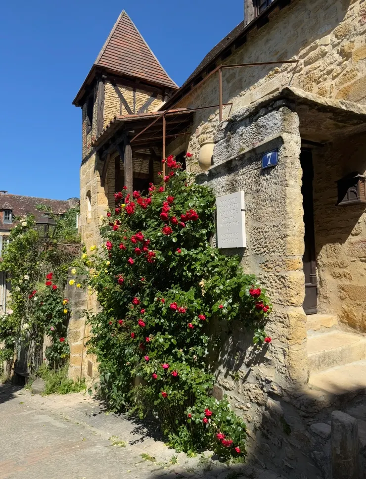 幻想自己住在這樣的房子