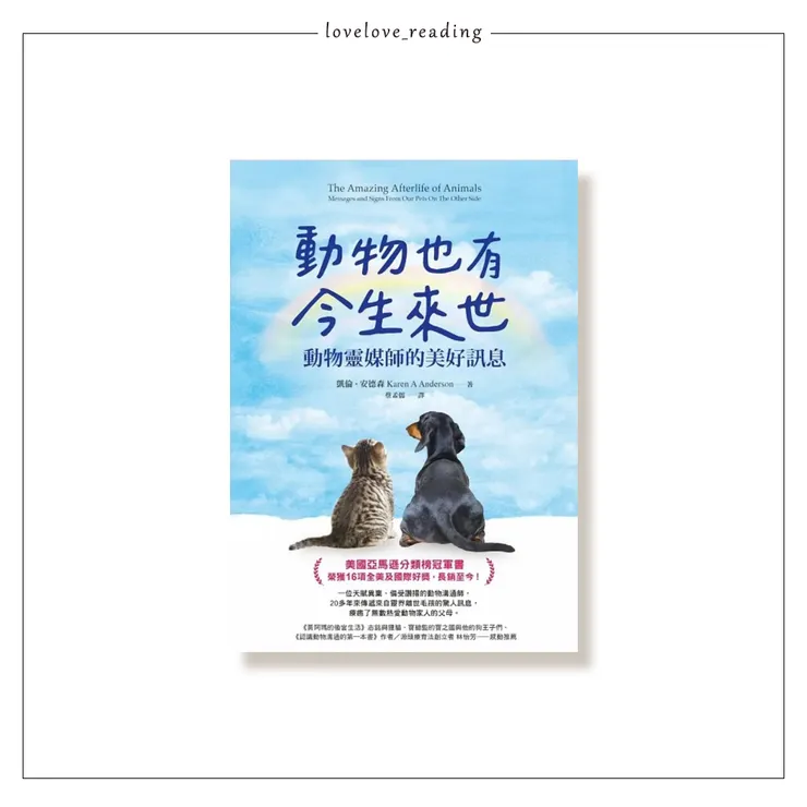 作者｜凱倫．安德森（Karen A Anderson）　譯者｜蔡孟儒　出版社｜如何／圓神出版
