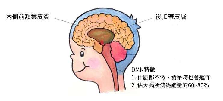 DMN說明