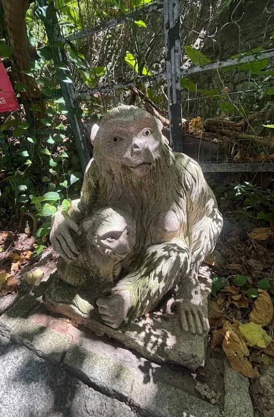 猴子雕像