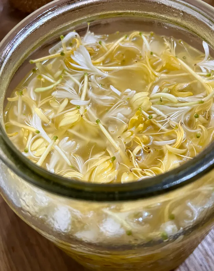 忍冬浸泡油