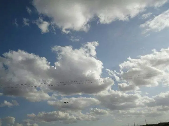 去的地方其實是高山區，有時候跑得用力一點就喘得要命；可以聽見自己的呼吸心跳💓（我在這裡）