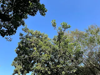 更進一步的，可以希望那些討厭的人也可以過得好，這是更高程度的作法。理由是既然每想起或提及這些人一次，心裡就會產生一次負面的厭惡感，而且還難以控制一天會想起幾次，根本就是一種自我折磨。既然如此，那倒不如每想起這些人一次，就好好的祝福他們，希望他們能過得好，也能實現他們想要的願望。