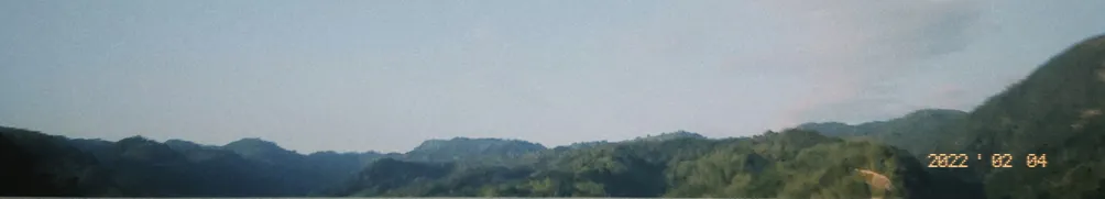 軟爛女子的沙龍